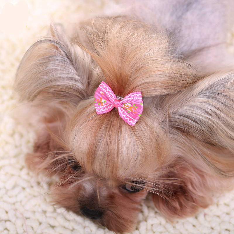 Pet Supplies York - Nuova forcina per cani gattino cucciolo
