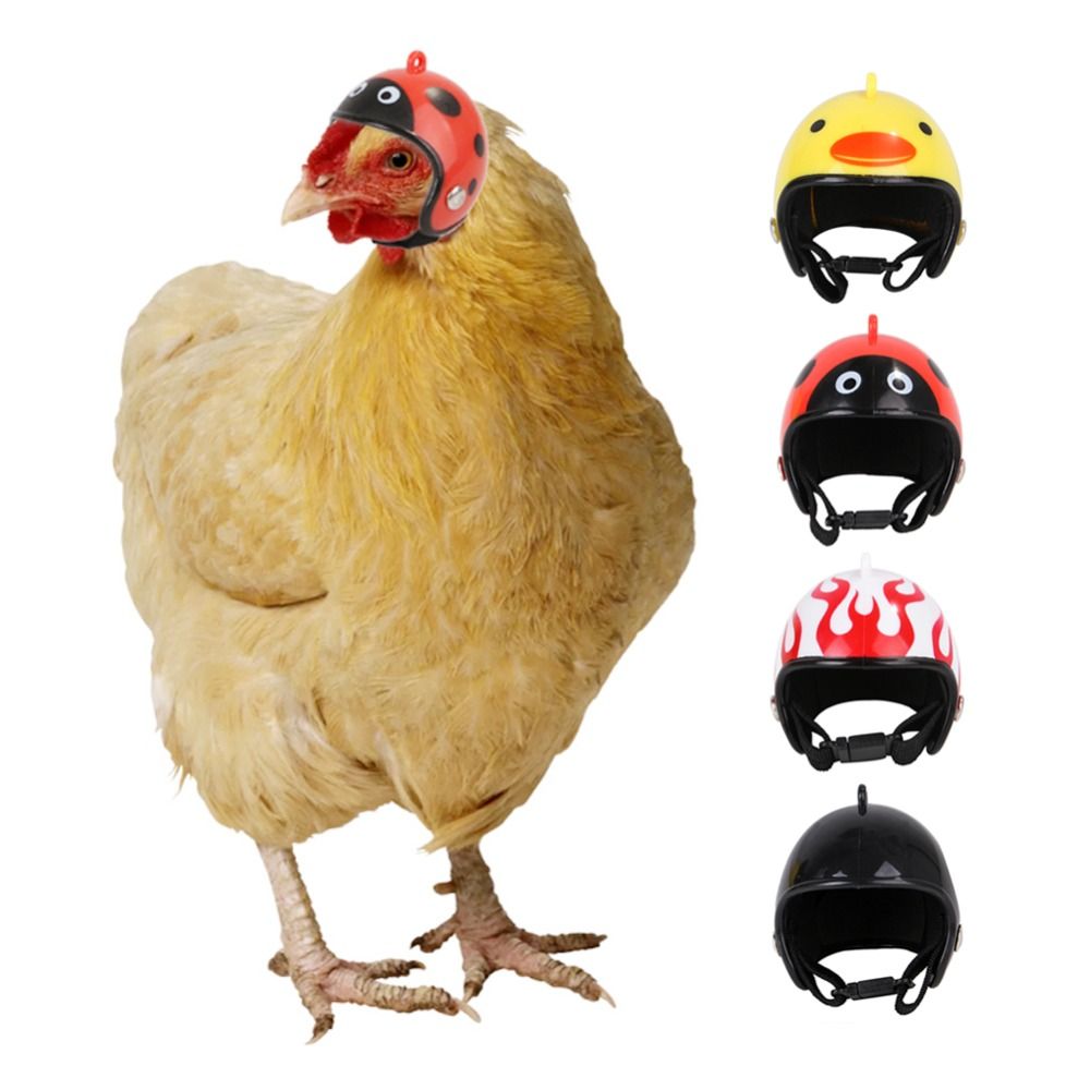 Pet X Supplies & Tack - Accessori per Animali Domestici in ABS,