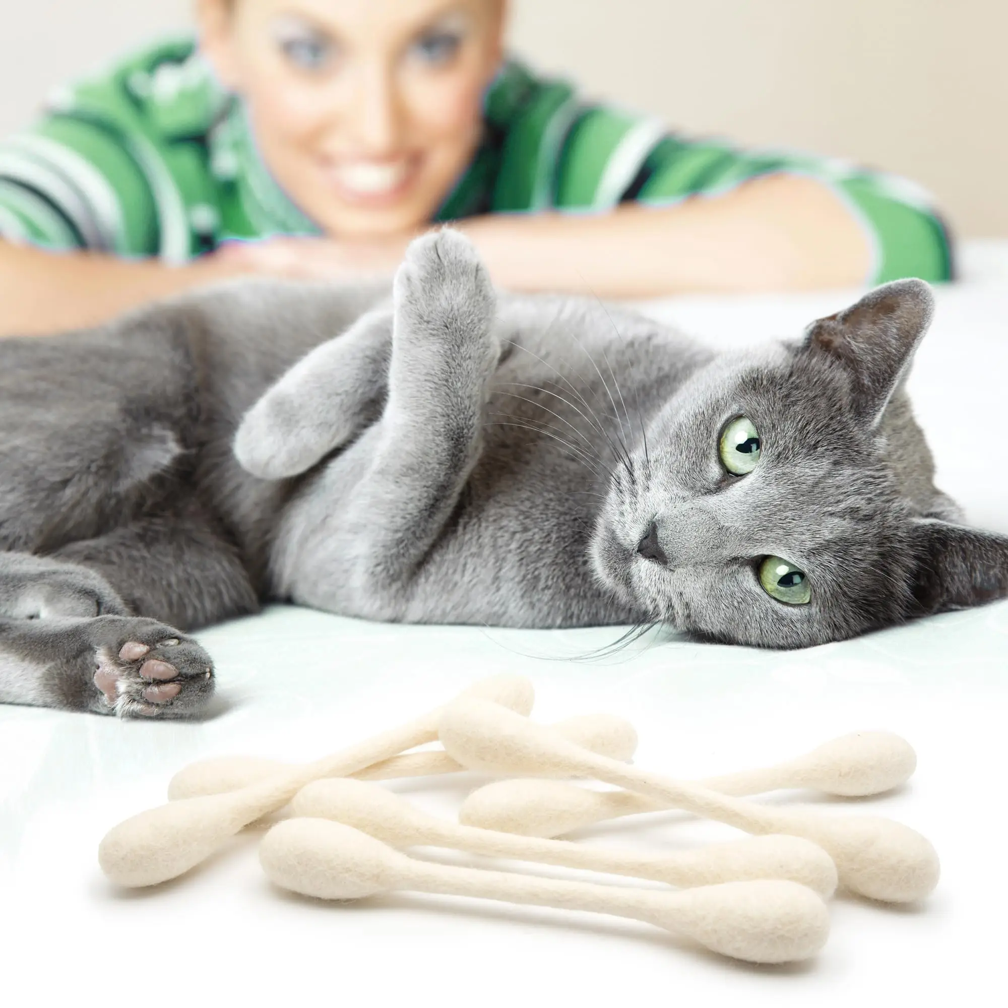 Giocattoli creativi per gatti: - Catnip Toys recensione e prezzo