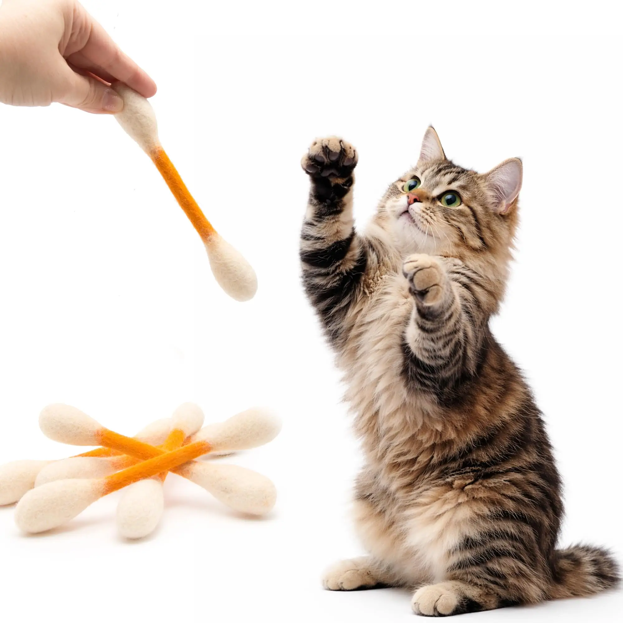 Giocattoli creativi per gatti: - Catnip Toys recensione e prezzo