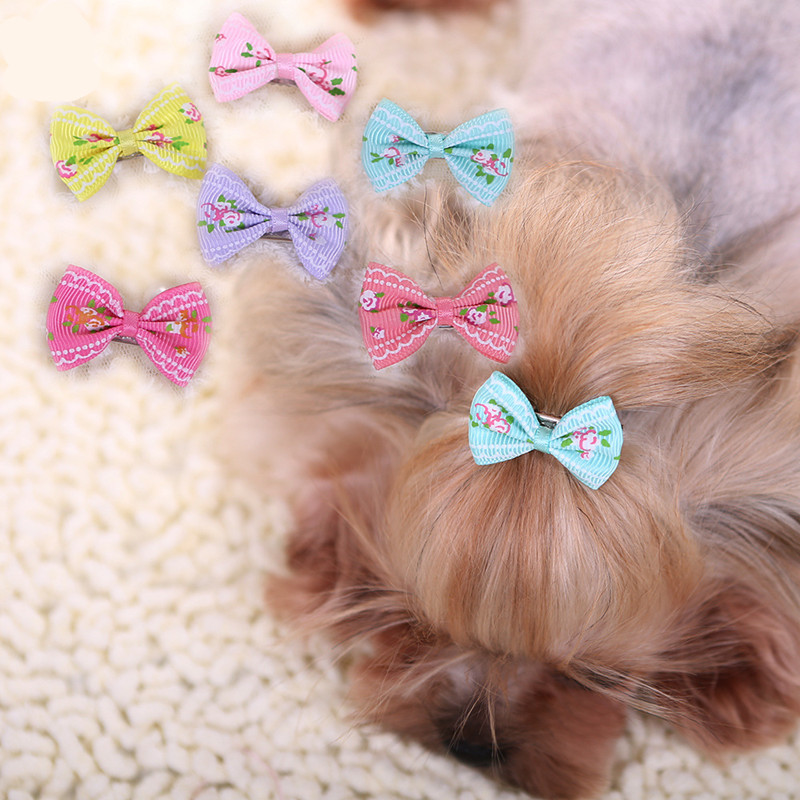 Nuova forcina per cani gattino - Pet Supplies York recensione e prezzo