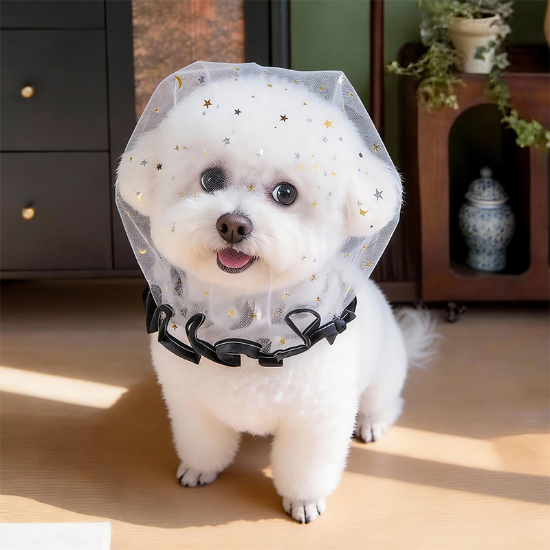 Cappello Estivo Antiabbaio per - Pet Supplies York recensione e prezzo
