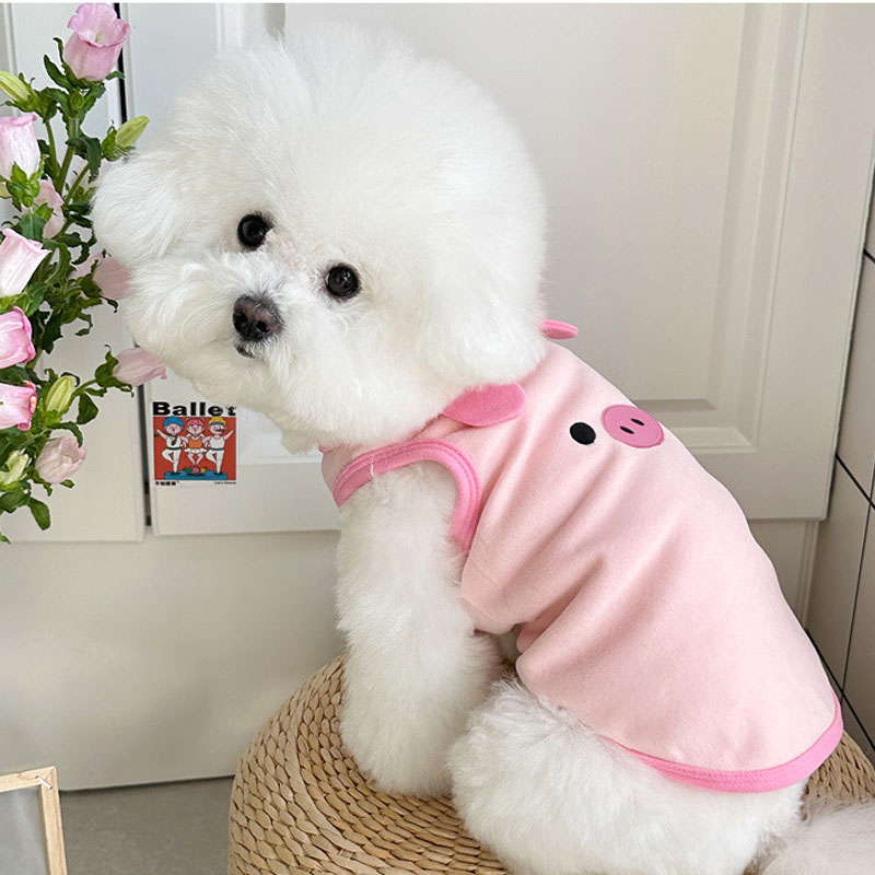 Abbigliamento per cani a tema  - Pet Supplies York recensione e prezzo