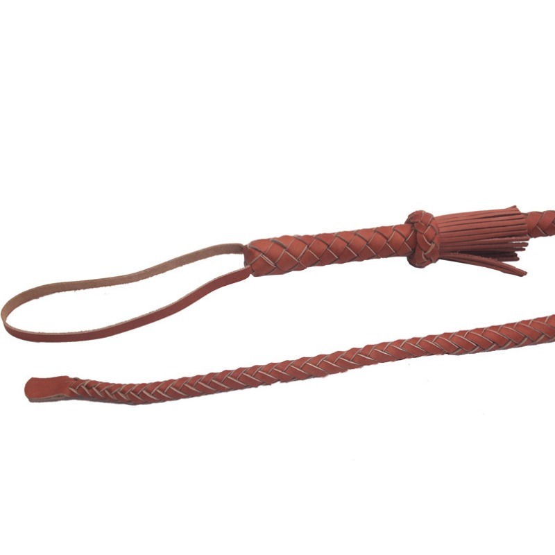 Frusta in Vera Pelle per Addes - Pet Supplies For Dogs recensione e prezzo