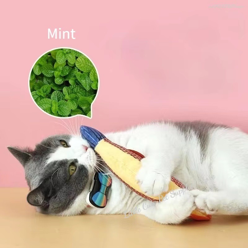 Nuovo Giocattolo per Gatti: Pe - Catnip Toys recensione e prezzo