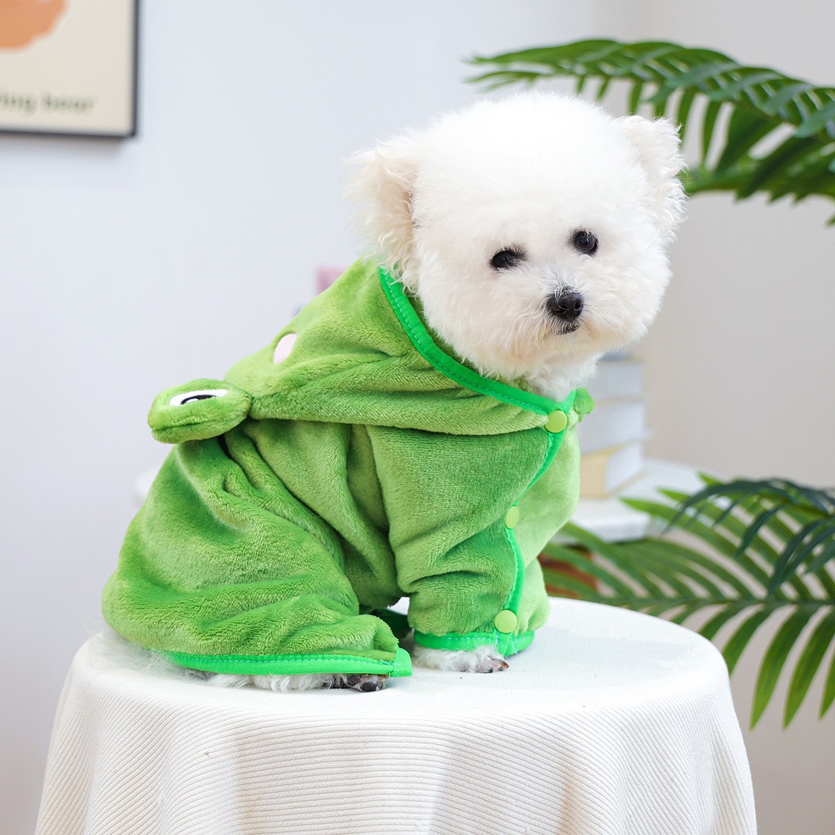 Berretto a rana Mantello per c - Pet Supplies York recensione e prezzo