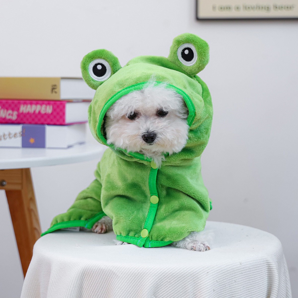 Berretto a rana Mantello per c - Pet Supplies York recensione e prezzo