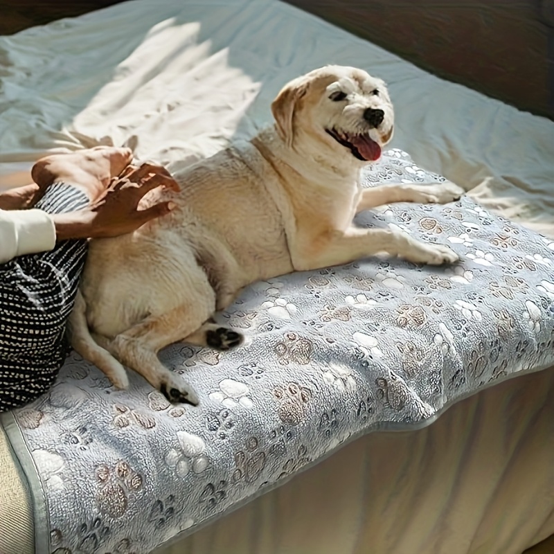 Comodo Asciugamano per Animali - Pet Supplies For Dogs recensione e prezzo