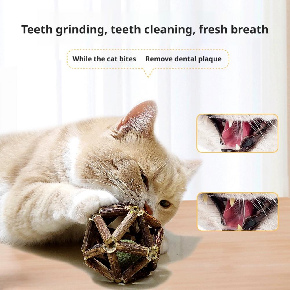 Erba gatta palla gatto giocatt - Catnip Toys recensione e prezzo
