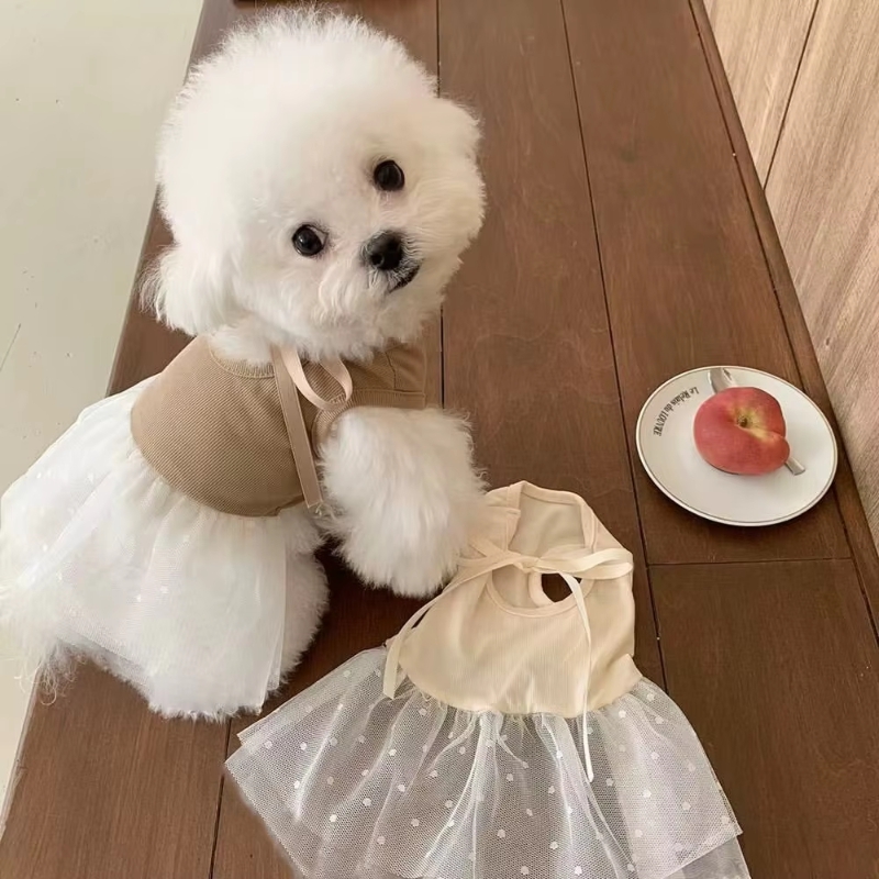 Abbigliamento estivo per cani, - Pet Supplies York recensione e prezzo