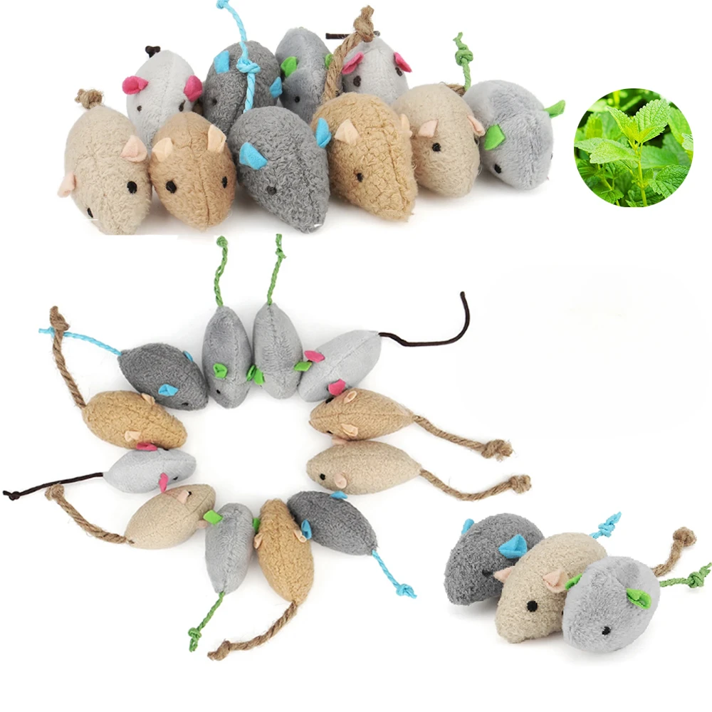 3/24 Pezzi di Giocattoli Sonag - Catnip Toys recensione e prezzo