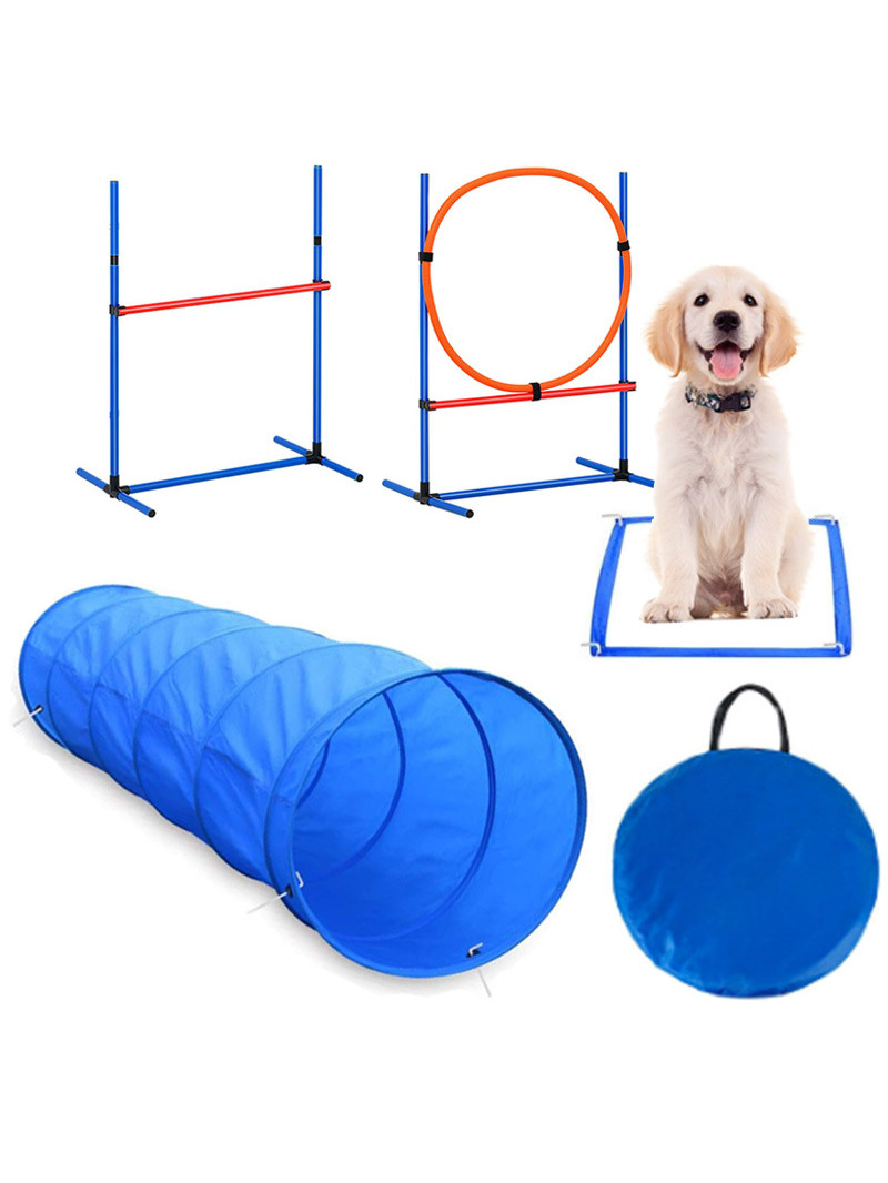 Attrezzature per l'addestramen - Pet Supplies For Dogs recensione e prezzo
