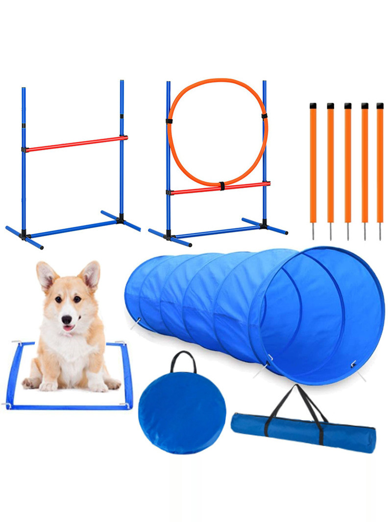 Attrezzature per l'addestramen - Pet Supplies For Dogs recensione e prezzo