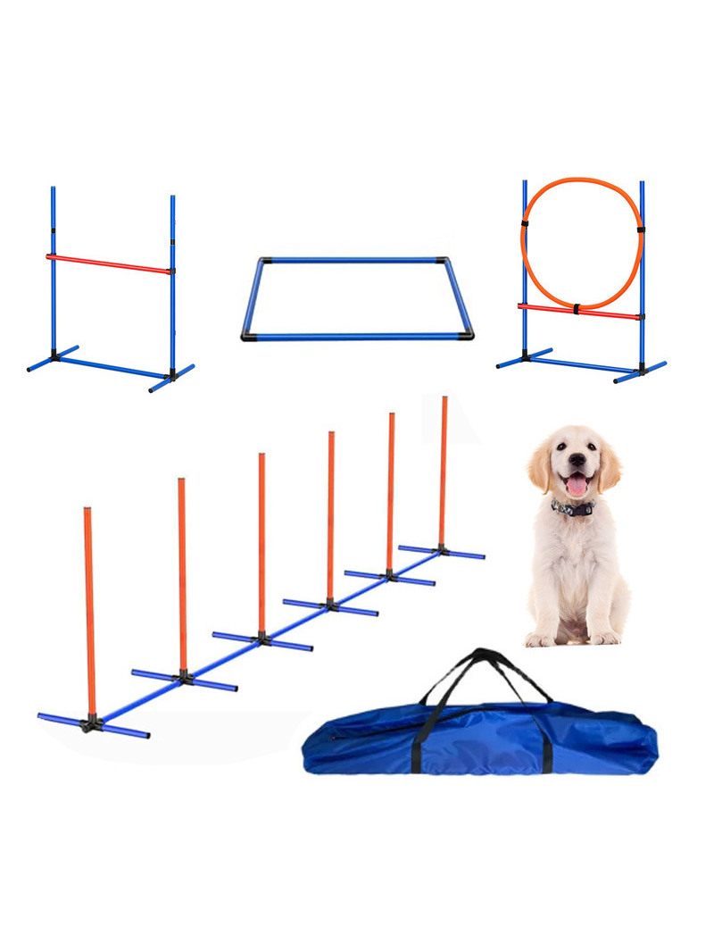 Attrezzature per l'addestramen - Pet Supplies For Dogs recensione e prezzo