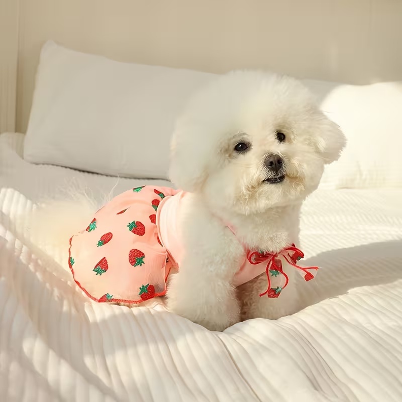 Estate sottile cucciolo princi - Pet Supplies York recensione e prezzo