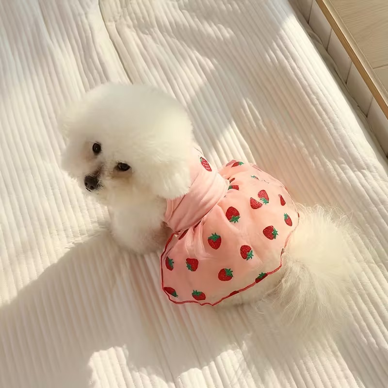 Estate sottile cucciolo princi - Pet Supplies York recensione e prezzo
