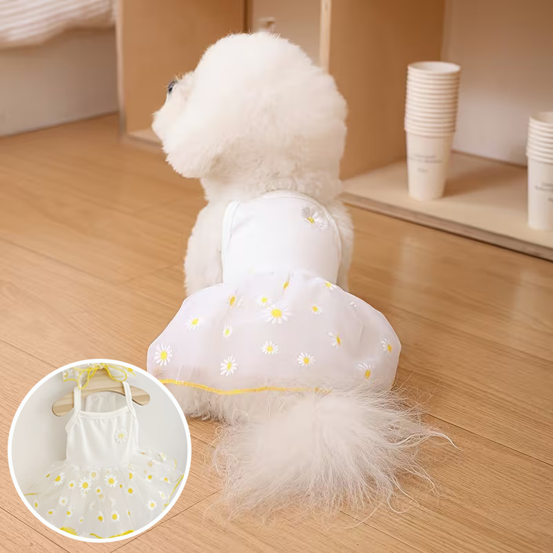 Estate sottile cucciolo princi - Pet Supplies York recensione e prezzo