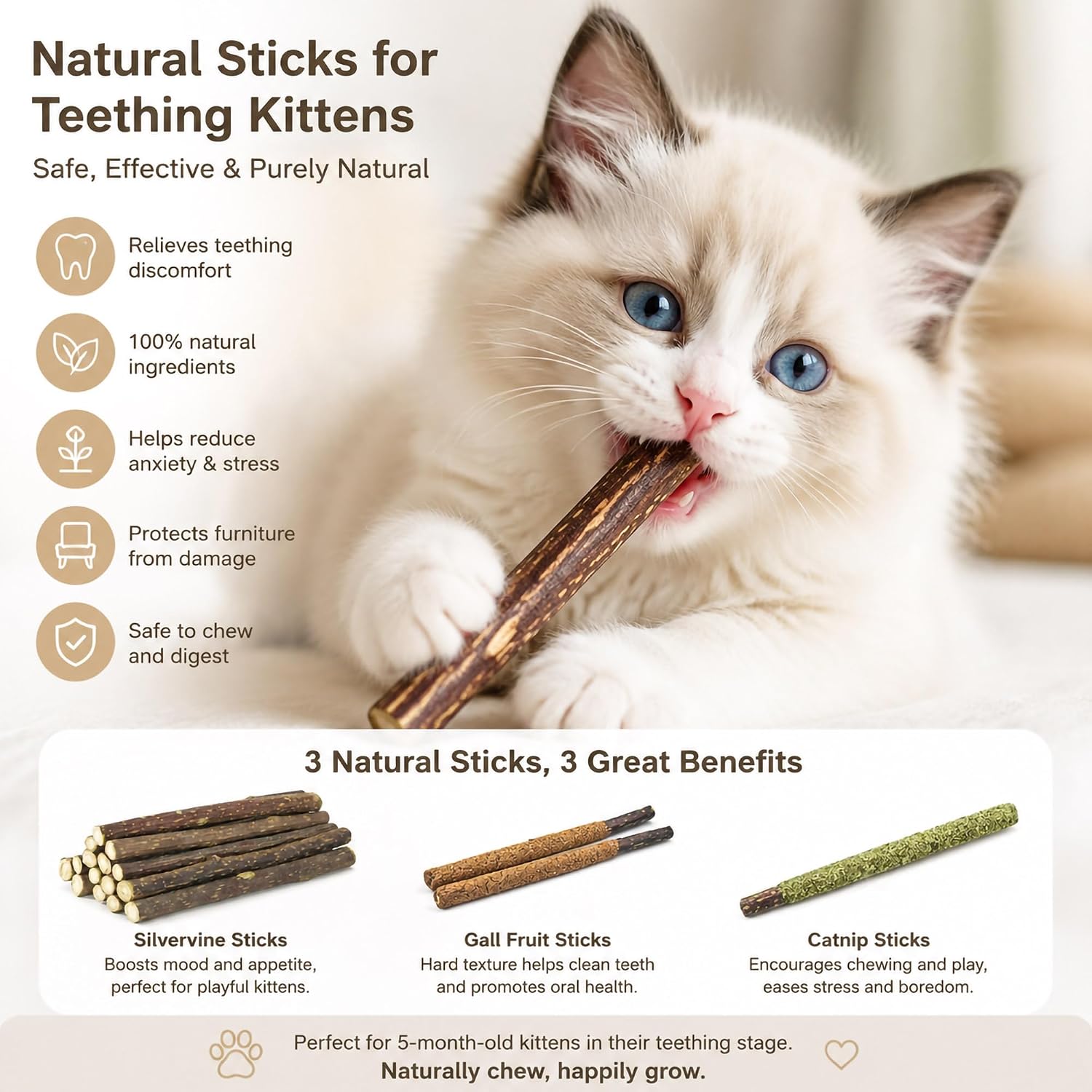 24 Pezzi di Bastoncini di Silv - Catnip Toys recensione e prezzo