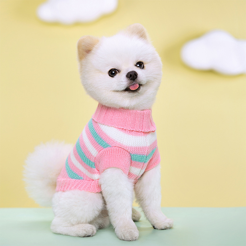 Maglione per Cani di Taglia Me - Pet Supplies York recensione e prezzo