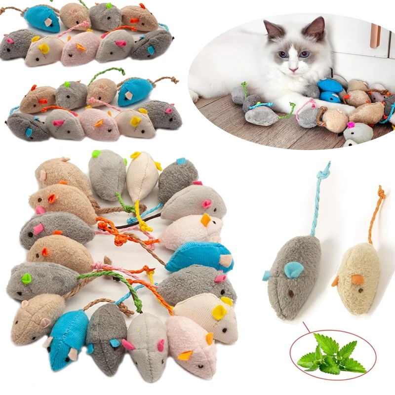 3/200 pezzi Giocattoli per gat - Catnip Toys recensione e prezzo