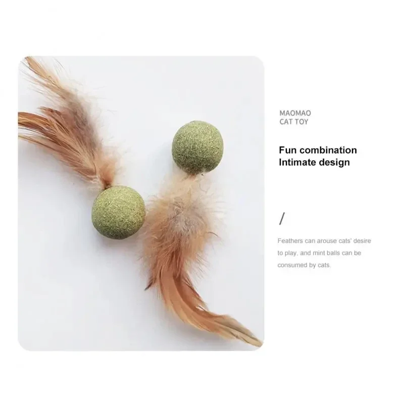 Giocattoli per Gatti con Erba  - Catnip Toys recensione e prezzo