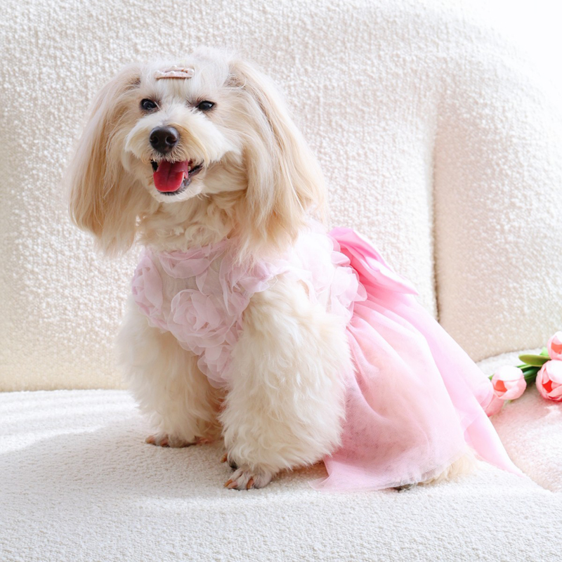 Vestito Estivo Sottile per Cuc - Pet Supplies York recensione e prezzo