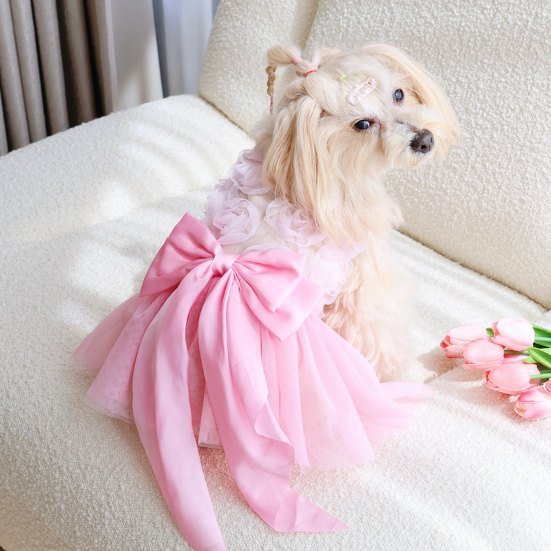 Vestito Estivo Sottile per Cuc - Pet Supplies York recensione e prezzo