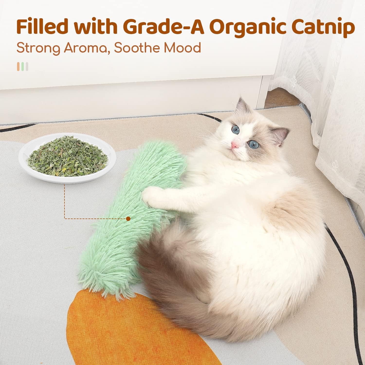 Cuscini Giocattolo per Gatti,  - Catnip Toys recensione e prezzo