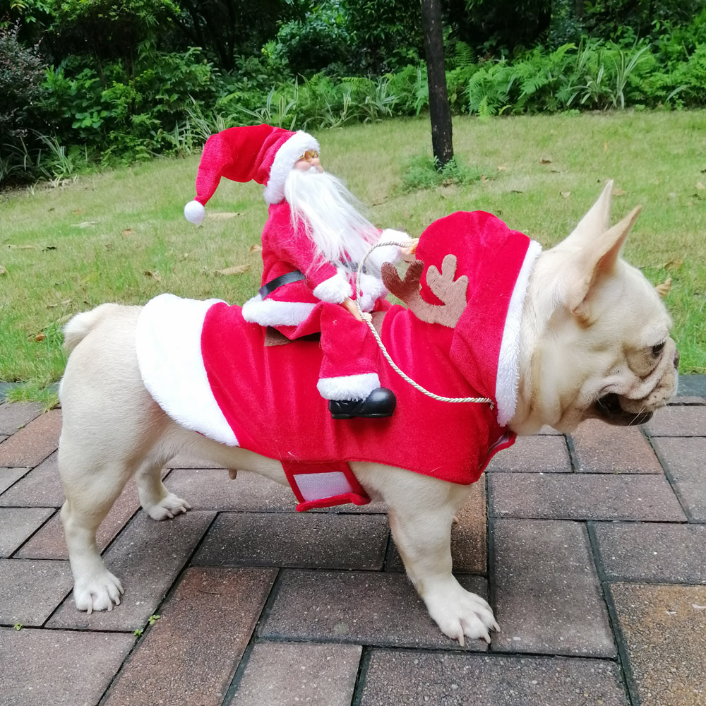 Inverno Felice Anno Nuovo Cost - Pet Supplies York recensione e prezzo